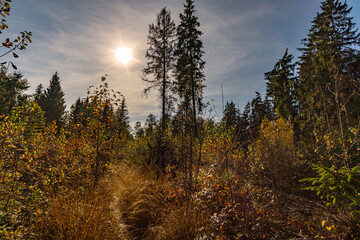 Wonderful autumn hike near Koenigseggwald in Upper Swabia