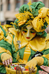 Mimosa und Basler Fasnacht	