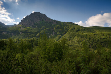 Fototapeta na wymiar Dolina Zeleneho plesa - High Tatras, Slovakia
