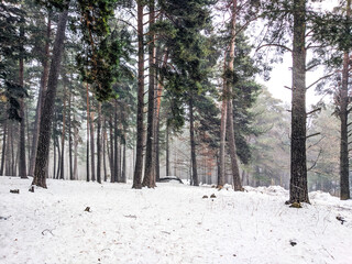 Snow landscape in winter (Spain)