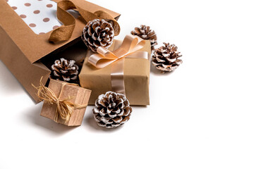Kraft paper bag with gifts and pine cones