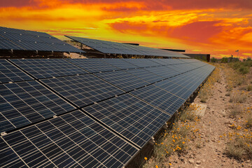Large solar array with sunset sky on US federal parkland in the Mojave desert.