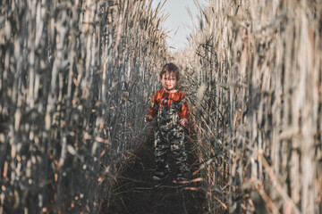 Portrait of little boy standing among ears of wheat field. child in the middle of gray wheat field,...