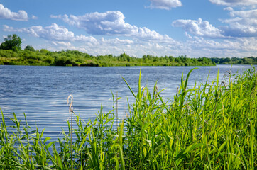 
wide river Volga in green thickets