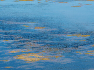marais salants sur l'île de Noirmoutiers en France