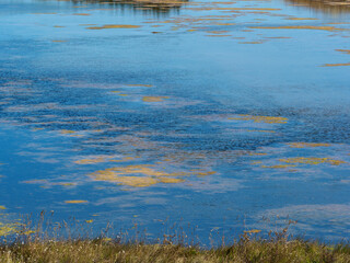 marais salants sur l'île de Noirmoutiers en France