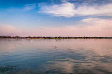 Fototapeta premium sunset and birds over the river 