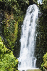 waterfall in the forest
