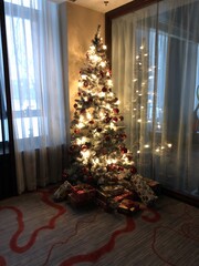 christmas tree in the living room