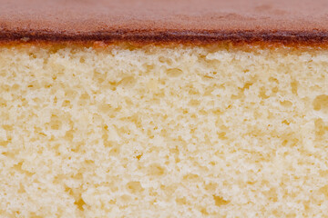 Section of sponge cake,  castella cake,  (Japanese sponge cake)