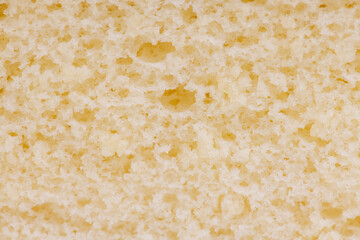 Section of sponge cake,  castella cake,  (Japanese sponge cake)