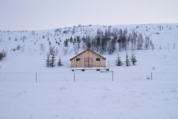 tiny cabin in the snow at winter in Iceland