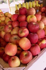 Naklejka na ściany i meble Up-close image of apples at a Farmer's Market