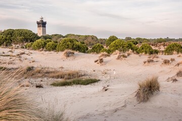 Phare de l'Espiguette, enfant seul 