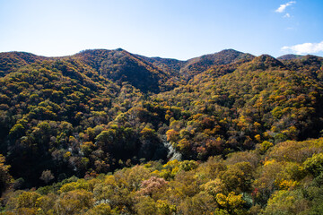 秋の知床　知床横断道路沿いの紅葉（北海道・羅臼町）