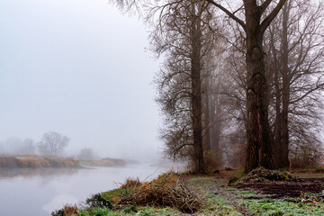 Jesienny dzień nad rzeką Narew, Podlasie, Polska
