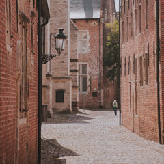 Le célèbre Grand Béguinage de Louvain en Belgique avec ses rues anciennes bordées de magnifiques maisons flamandes anciennes en briques