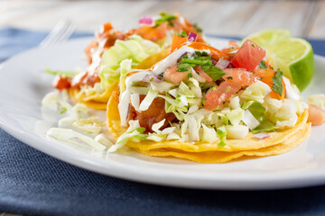 A view of a plate of fish tacos.
