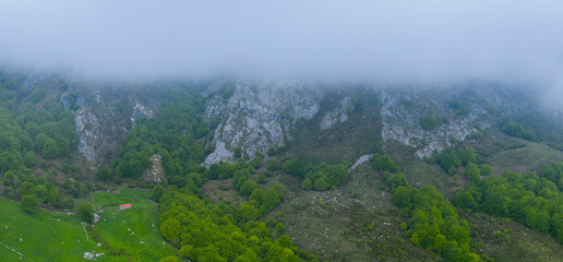 Cabañas Pasiegas, Beech forest, Fog, Mysty landscape, Springtime, Portillo de La Sía, Soba...