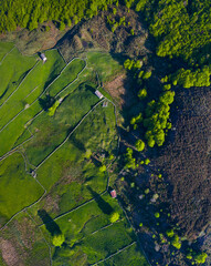 Cabañas Pasiegas, Agricultural landscape, Springtime, Portillo de la Sía, Soba Valley, Valles Pasiegos, Cantabria, Spain, Europe
