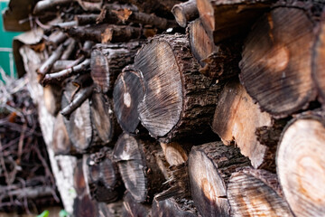 Prepared firewood for the grill and stove. Sawn down thick and thin tree trunks, wet and wet logs, stacked on rubble, a beautiful brown color of rich bark