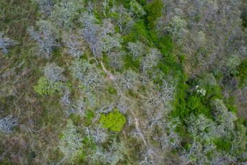 Springtime, La Gándara, Soba Valley, Valles Pasiegos, Cantabria, Spain, Europe