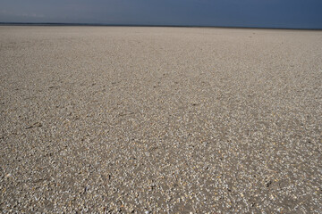 Gros plant sur sable