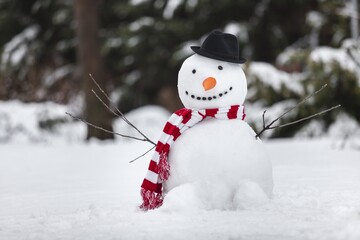Snowman.