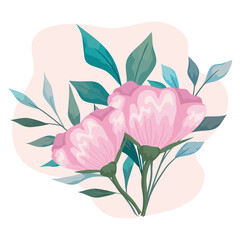 flowers pink with leaves painting design, natural floral nature plant ornament garden decoration and botany theme Vector illustration