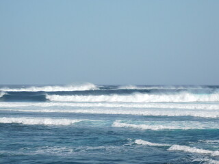 Fototapeta premium A little bit of Canary iselands