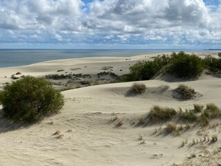sand dunes on the beach