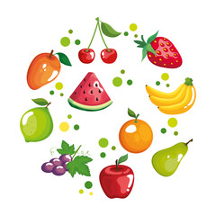 fruits circle icon set design, healthy organic food theme Vector illustration