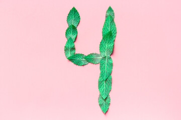 Number 4 is written on a pink background with melissa mint leaves