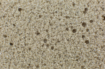 Sponge macro photo. Pumice close up.