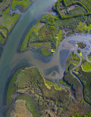 Tidal Marsh, Tidal Wetland (MARISMA), Low Tide, Rada, Marismas de Santoña, Victoria y Joyel Natural Park, Cantabria, Spain, Europe