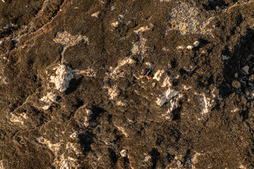 Dirty dark brown abstract natural stone texture. Background for packaging and design. Stone wall pattern.