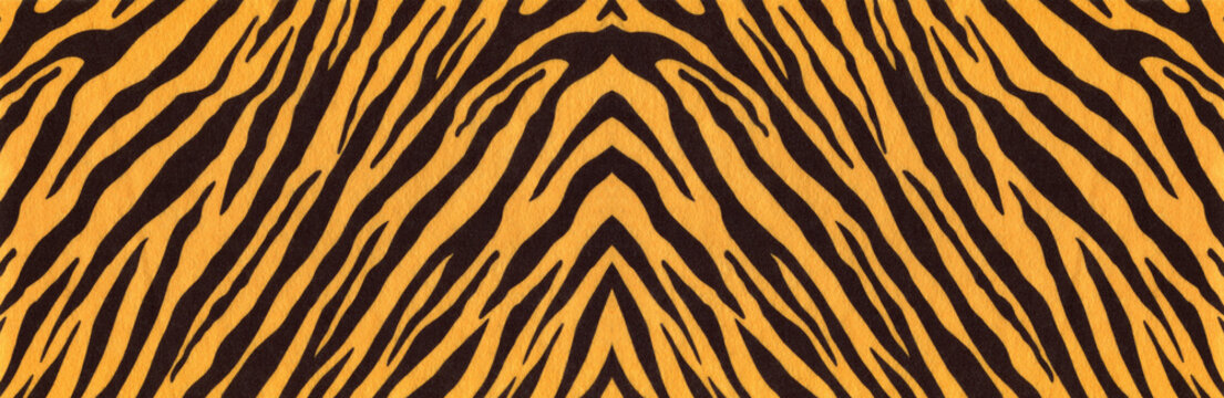 Background with a pattern of tiger stripes, tiger color. Tiger skin background or texture, long banner for website.