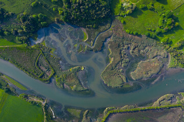 Tidal Marsh, Tidal Wetland (MARISMA), Low Tide, Rada, Marismas de Santoña, Victoria y Joyel Natural Park, Cantabria, Spain, Europe