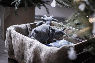 christmas © Mateusz