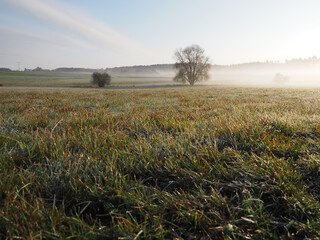 Fototapeta premium Herbstnebel in der Eifel