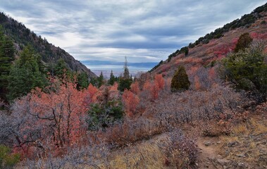 Slide Canyon views from hiking trail fall leaves mountain landscape, Y Trail, Provo Peak, Slate Canyon, Rock Canyon, Wasatch Rocky mountain Range, Utah, United States. 