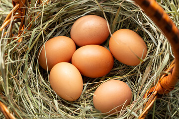 Chicken eggs in a basket with hay.