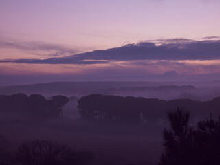 Fototapeta krajobraz mgła drzewa jesień natura niebo chmury obraz