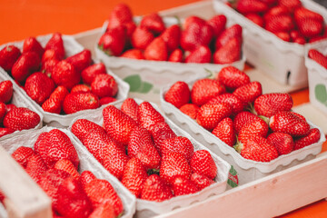 frische Erdbeeren auf dem Markt	