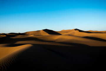 Fototapeta na wymiar Sand dunes in a vast desert at dawn
