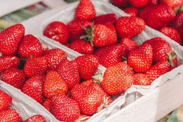frische Erdbeeren auf dem Markt	