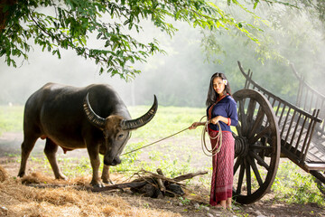 Obraz premium Men and women riding buffalo in rural fields