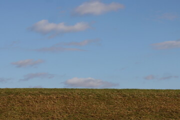 Obraz premium The meadow and the blue sky.