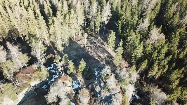A top down capture of a rock formation hiding between tall forest in Austrian Alps. Early spring in Alps. The nature wakes up after hibernation. Steep and dangerous climbing. Adventure
