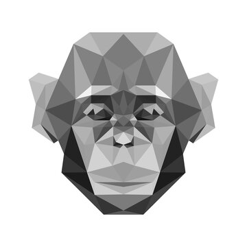 monkey head low poly geometric polygonal triangle logo icon symbol design template